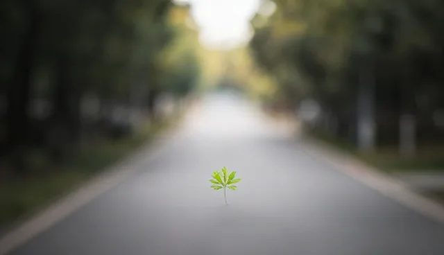 篮球应用开发在体育产业中的应用场景分析